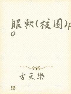 服软(校园)po