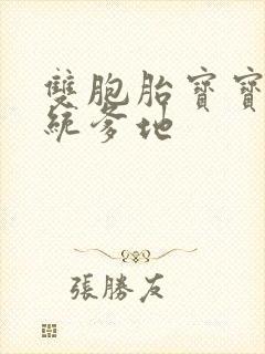 双胞胎宝宝的总统爹地