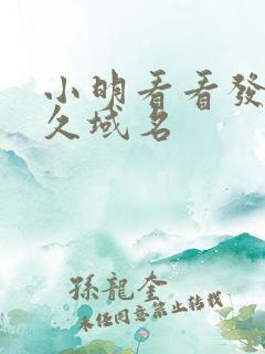 小明看看发布永久域名