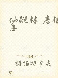 仙踪林 老狼信息