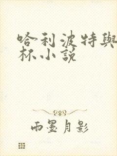 哈利波特与火焰杯小说