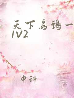 天下乌鸦一般黑1V2