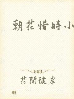 朝花惜时小说