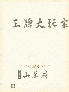 王牌大玩家