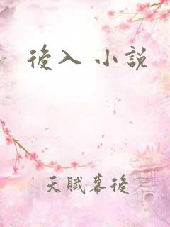 后入 小说