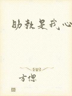 助教是我心尖宠