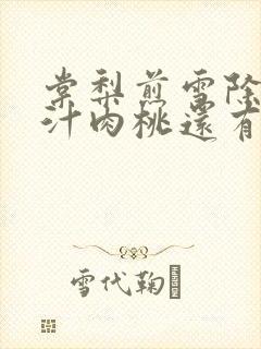 棠梨煎雪除了蜜汁肉桃还有什么肉