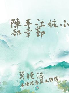 阵平江婉小说全部章节