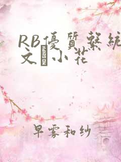 RB优质系统全文寀小花
