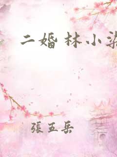 二婚 林小染