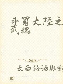 斗罗大陆之三生武魂