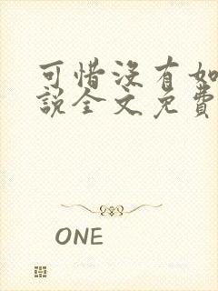 可惜没有如果小说全文免费阅读