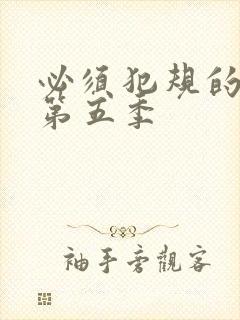 必须犯规的游戏第五季