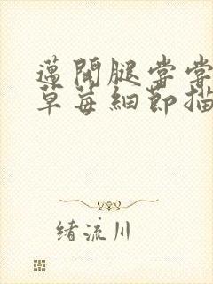 迈开腿尝尝你的草莓细节描写