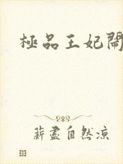 极品王妃闹王府