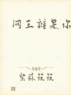网王谁是你老婆