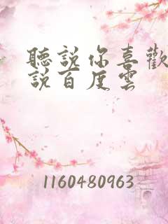 听说你喜欢我小说百度云