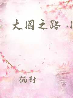 大国之路 小说