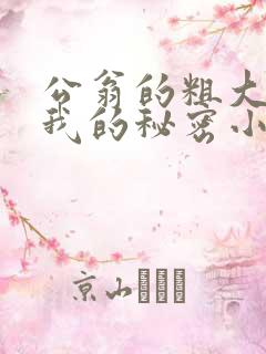 公翁的粗大放进我的秘密小说