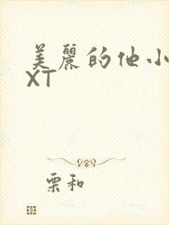 美丽的他小说TXT