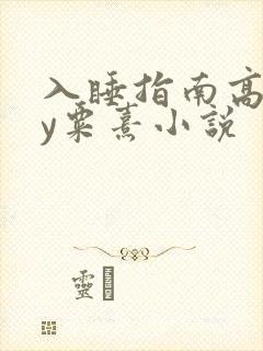 入睡指南高干by粟熹小说