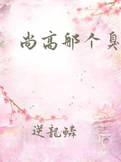 尚高那个臭小子