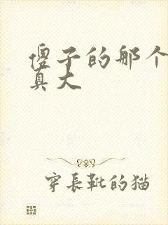 傻子的那个东西真大