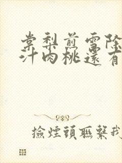 棠梨煎雪除了蜜汁肉桃还有什么肉