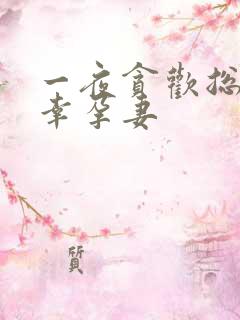 一夜贪欢总裁的幸孕妻