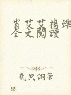 肖艾艾杨烁小说全文阅读