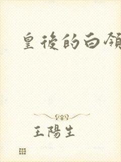 皇后的白领生活