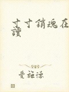 寸寸销魂在线阅读