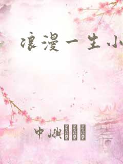 浪漫一生小说网