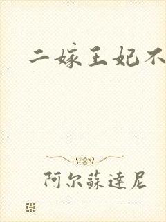 二嫁王妃不好惹