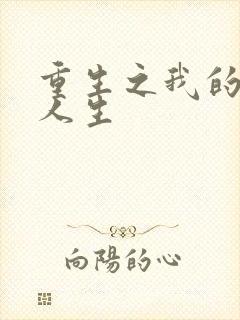 重生之我的抄袭人生