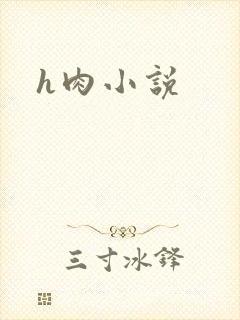 h肉小说