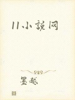 11小说网