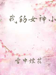 我的女神小说
