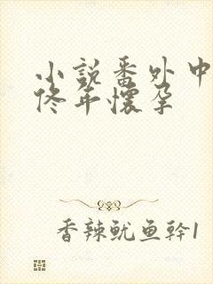 小说番外中结局佟年怀孕