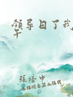 领导日了我一下午