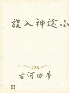 误入神途小说