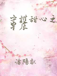 守护甜心之暗夜星辰