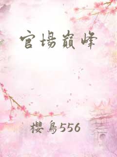 官场巅峰