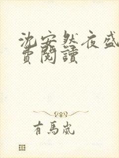 沈安然夜盛霆免费阅读