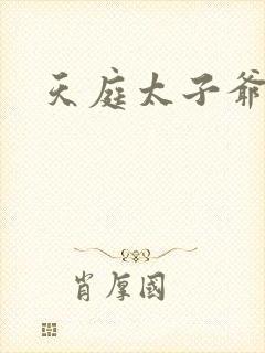 天庭太子爷