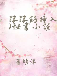 狠狠的撞入(h)秘书小说