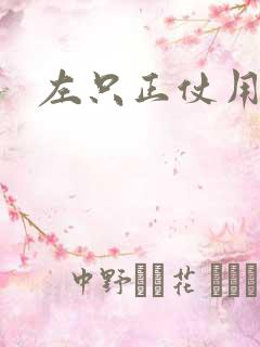 左只正仗用