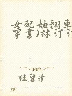 女配她翻车了(穿书)林汀汀