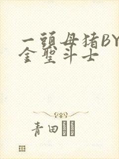 一头母猪BY黄金圣斗士