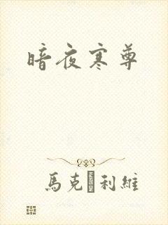 暗夜寒尊